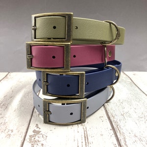 Waterproof Biothane Dog Antique Brass Buckle Collar | Made in the UK