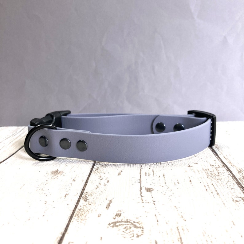 May include: A light grey dog collar with a black buckle and D-ring. The collar has four black dots along the strap.