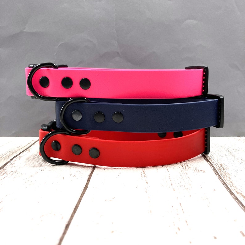 Waterproof Biothane Dog Collar with Quick Release Clasp image 3