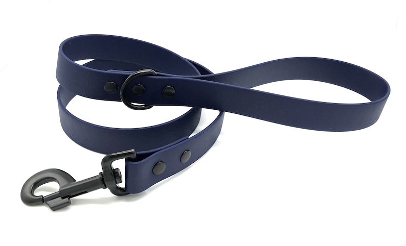 May include: A navy blue rubber dog leash with a black metal clip and black metal accents.