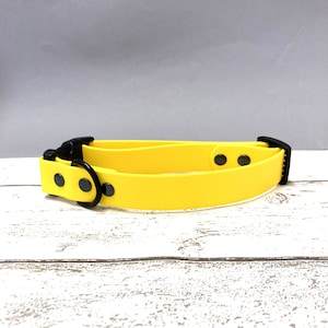 Waterproof Biothane Dog Collar with Quick Release Clasp Yellow