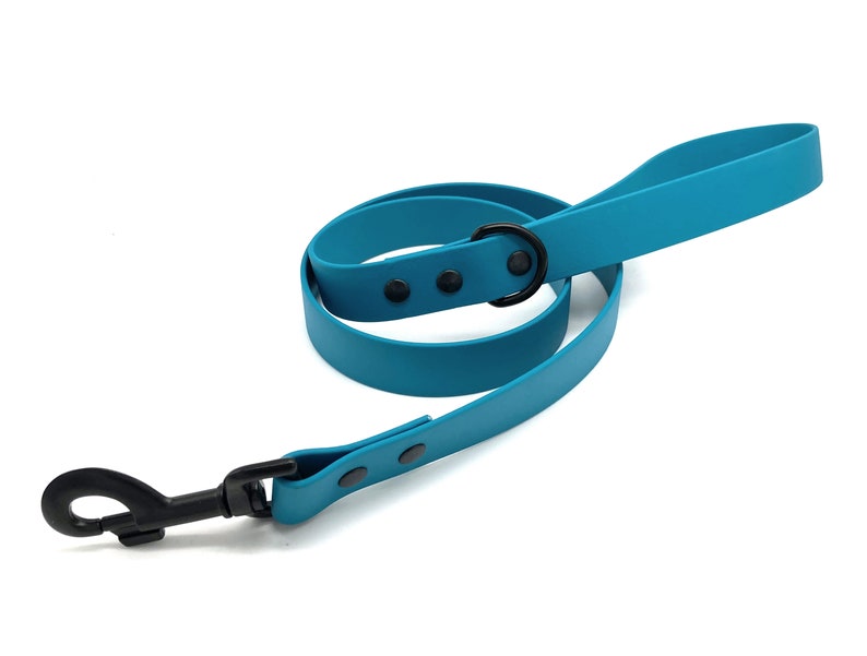 May include: A turquoise blue dog leash with a black metal clip and a black metal ring. The leash is made of a durable rubber material.