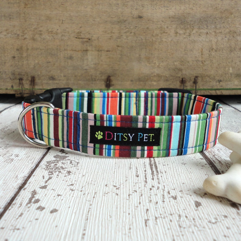 May include: A colourful striped dog collar with a black buckle and a label that reads "Ditsy Pet."