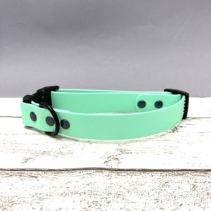 Waterproof Biothane Dog Collar with Quick Release Clasp Mint