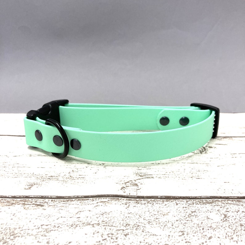 Waterproof Biothane Dog Collar with Quick Release Clasp Mint