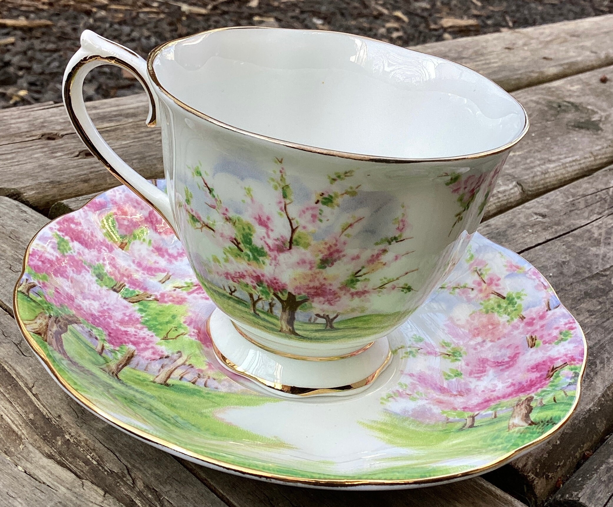 Sauser Spring Vintage Royal Albert Blossom Time Tea Cup & Saucer: Spring Cottage Core ...