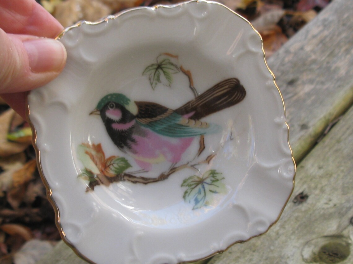 Vintage Party Ashtray Set Bird Ashtrays Backyard Birds 420 Etsy
