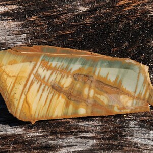 Old Stock Owyhee Valley Picture Jasper  50g