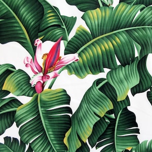 Tropical Fabric, Banana Blossom and Leaves on White, Large Scale Print, Last One Yard