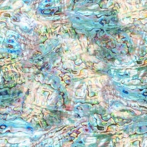 Opal Shell Fabric, Coastal Calm by Hoffman, Natures Narratives Digital Print, Last One Yard