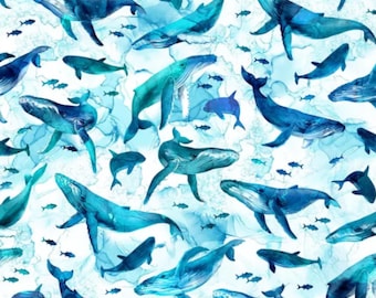 Whale Fabric, Whales on White, Deep Blue by Northcott Fabrics, By the Half or Full Yard