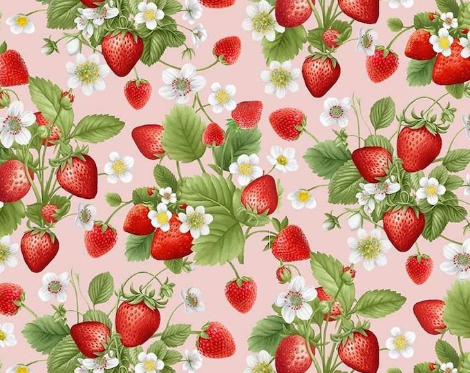 Strawberry Dreams Carrot Satin Fabric By the Yard Pre Order