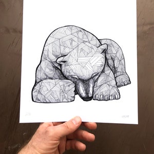Sleeping Polar Bear - Art Prints - Polar Bear Art - Polar Bear Drawings - Limited Edition Print - Polar Bear Print - Bear Art - Wall Art