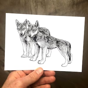 Wolf Cubs - Wolves - Art Prints - Baby Wolves - 5x7 Wolf Print - Wolf Drawings - Wolf Art