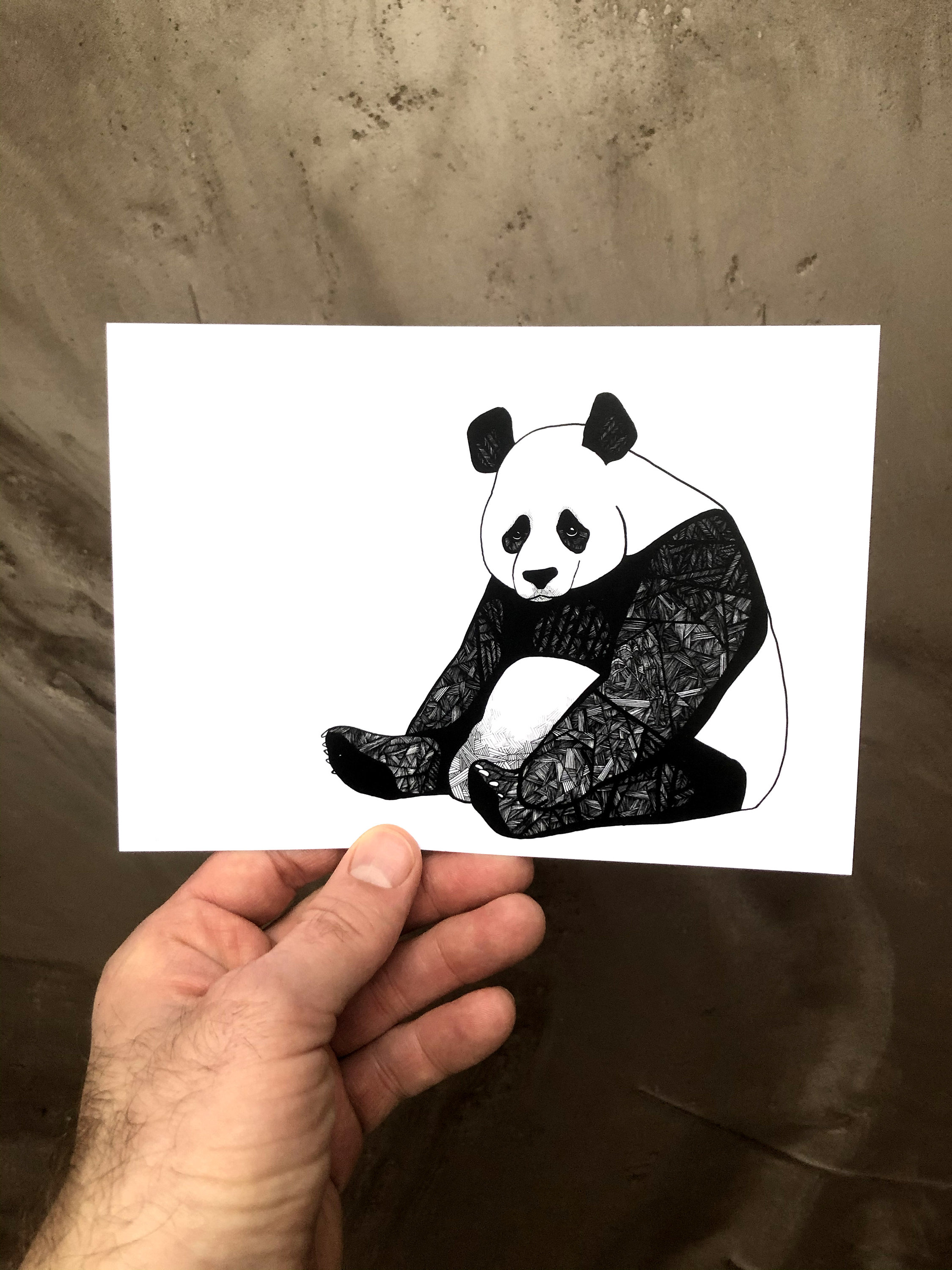 pix Panda Artwork Black And White panda art sad panda panda drawings panda prints 5x7 panda print panda bear black and white artwork wall art