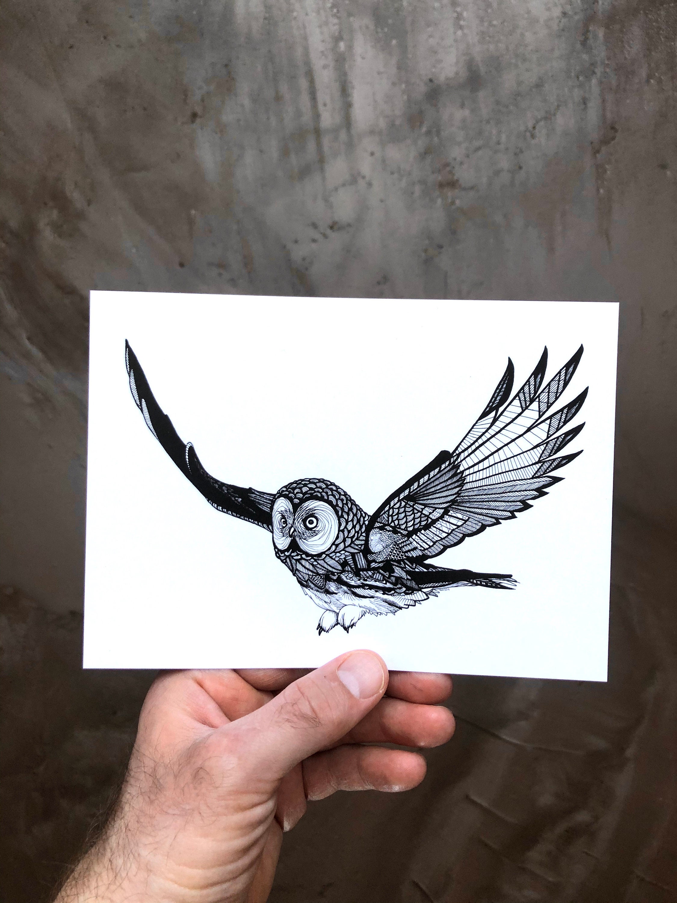 Flying Owl - 5x7 Owl Print - Owl Drawing