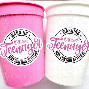 13th Birthday Party Cups - Warning Official Teenager Teenager Party Cups 13th birthday Party Favors 13th Party Decorations 2010 Birthday