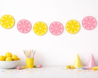 Lemon Banner, Lemon Garland, Lemonade Banner, Lemonade Decorations, Lemonade Birthday Party, Lemon Slices, Lemon Photo Prop, Citrus Fruit