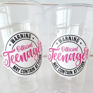 13th Birthday Party Cups - Warning Official Teenager Teenager Party Cups 13th birthday Party Favors 13th Party Decorations 2010 Birthday