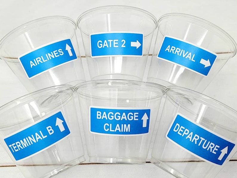 AIRPLANE PARTY CUPS Airplane Cups Airplane Birthday Cups Airplane Party Favors Pilot Party Plane Birthday Party Airplane