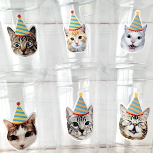 Cat Party Cups, Cat Birthday Cups, Cat Party, Cat Treat Cups, Cat Party Cups, Cat Decorations, Cat Cups, Kitty Party Cups, Cat Party Favors