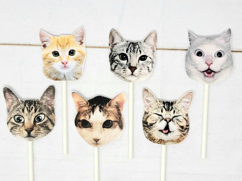 Cat Cupcake Toppers, Cat Party Cupcake Toppers, Cat Faces Cupcake Toppers image 1