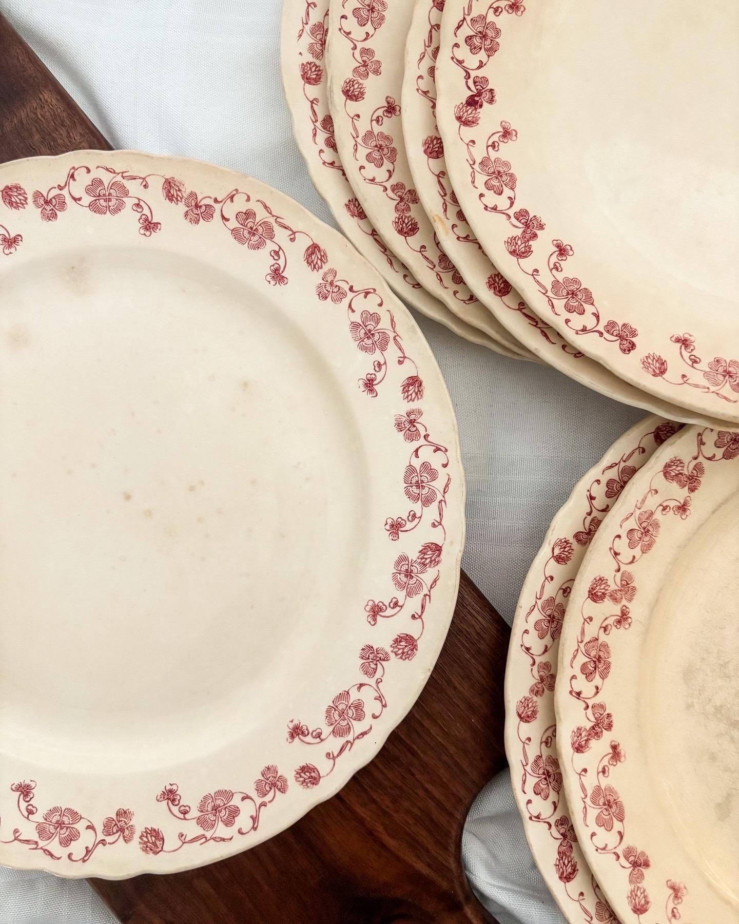 Tognanaホワイトパスタ•スープ皿直径22.5㎝8枚セット 新品パスタ皿5