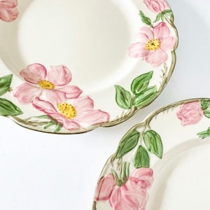 9-1/4” DINNER PLATE Franciscanware Dessert Rose Green Rim Pink Flowers 1940s