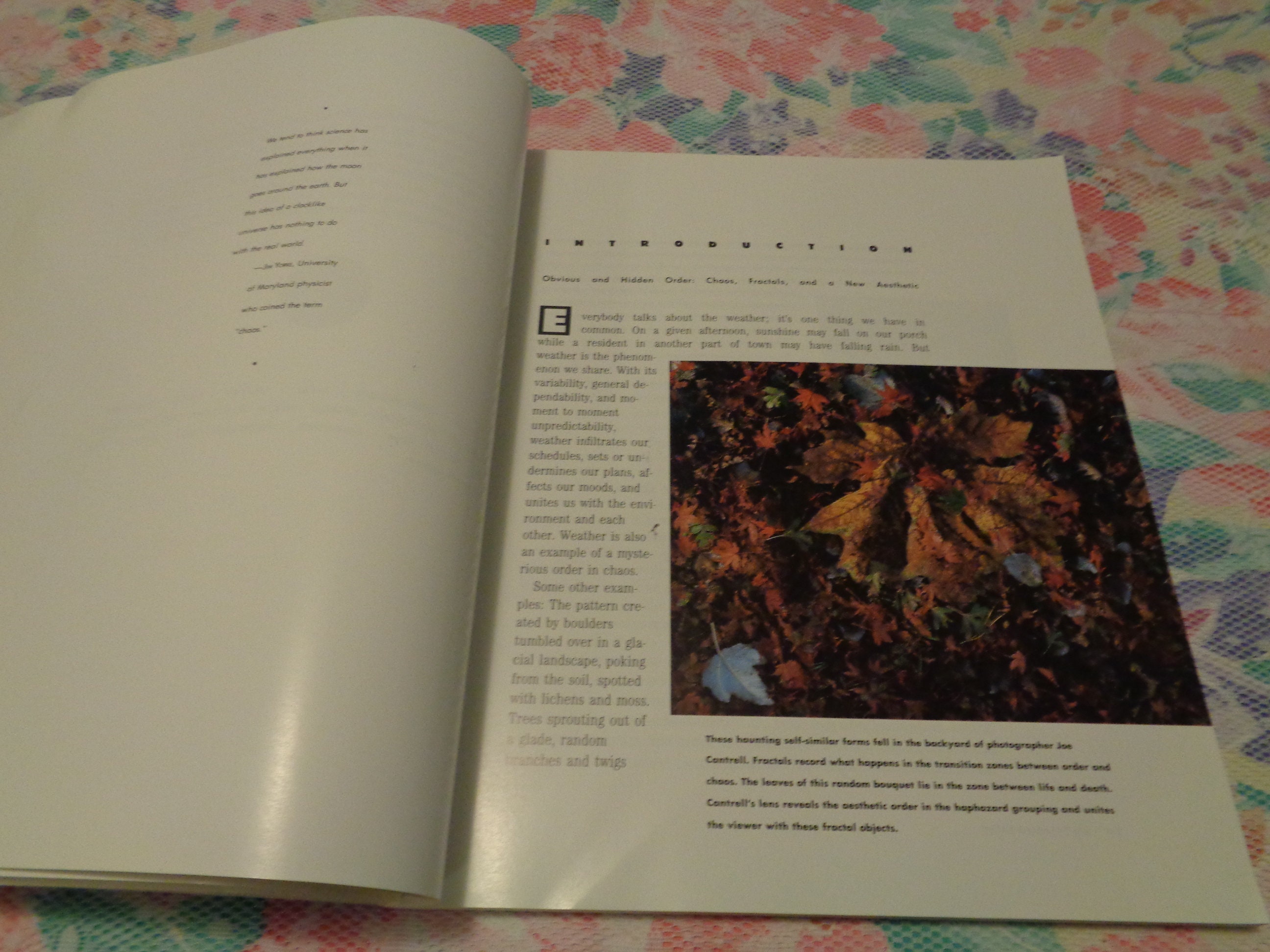 Sime Pattern FRACTALS the PATTERNS of CHAOS by John Briggs 1992 - Etsy