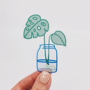 Monstera Propagation • Sticker