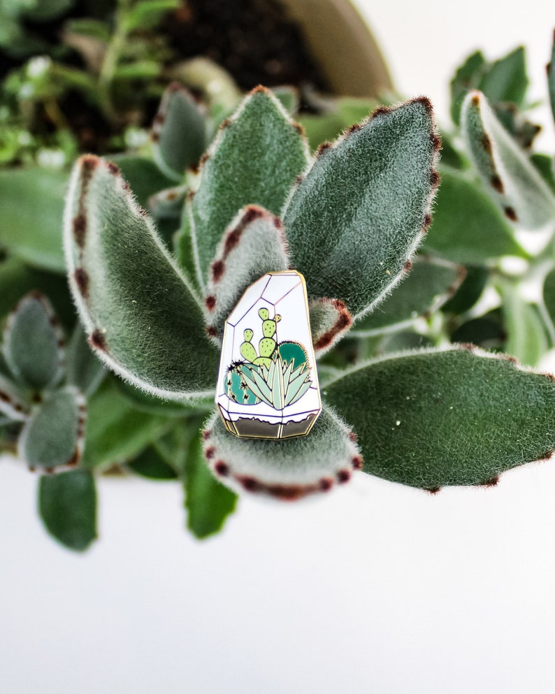 Terrarium Enamel Pin image 1