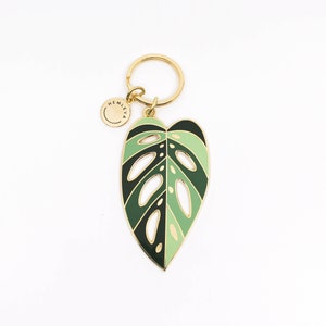 Monstera adansonii &#39;Archipelago&#39; • Keychain