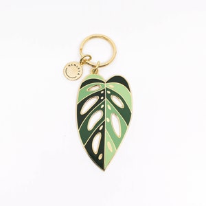 Monstera adansonii 'Archipelago' • Keychain