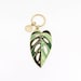 Monstera adansonii 'Archipelago' • Keychain 