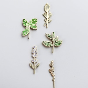 Culinary Pin Pack • Basil, Lavender, Thyme, Rosemary and Mint