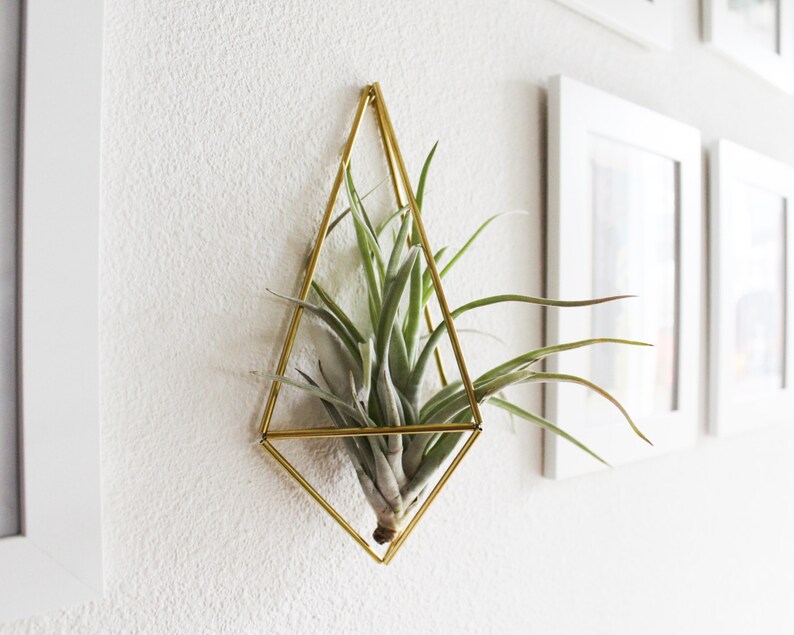 The Original Wall Sconce Brass Air Plant Holder Modern Etsy