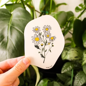 Daisy Suncatcher • Inserção de cartão
