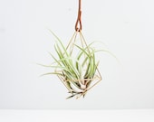 The Diamond | Brass Air Plant Holder, Modern Minimalist Geometric Hanging Ornament