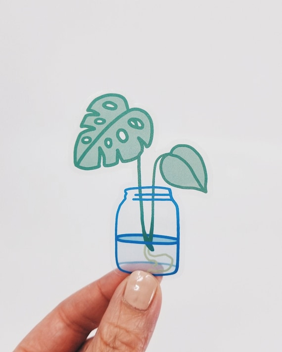 Monstera Vermehrung  Sticker - Etsy.de