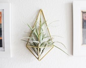 The Original Wall Sconce | Brass Air Plant Holder, Modern Minimalist Geometric Ornament