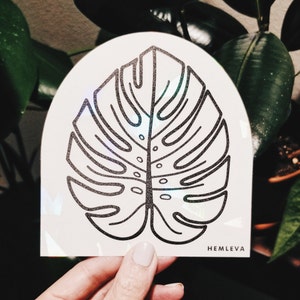 Monstera Suncatcher image 3