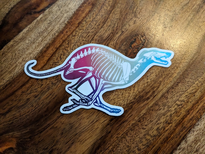 Rainbow Skeleton Greyhound/whippet Etsy