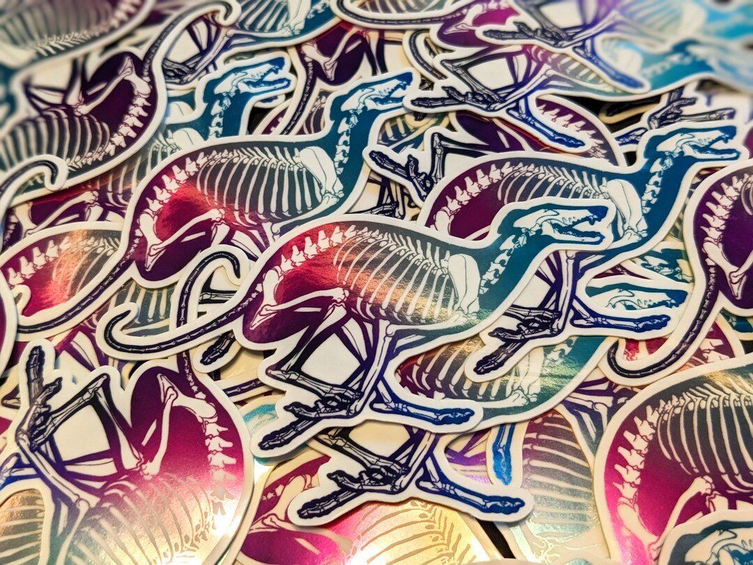 Rainbow Skeleton Greyhound/whippet Etsy