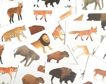 Cartões postais de animais - tamanho A6, ilustração de animais, pequenas impressões, decoração para casa, arte da vida selvagem, conjunto de cartões postais, impressões de berçário