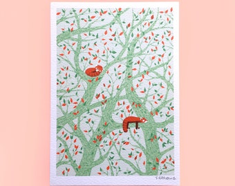 Snoozing Red Pandas Mini Print - Green and Orange Version, Red Panda Illustration, Animal Art, Pink Home Decor, Cute Nursery Print
