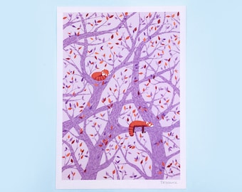 Snoozing Red Pandas Print - A5 Size