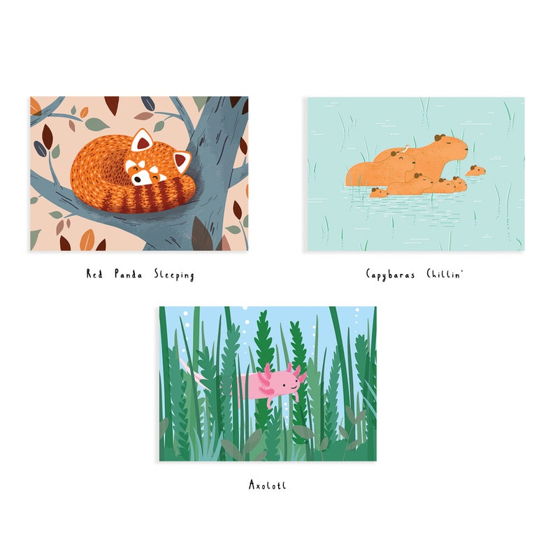 May include: Three illustrated cards featuring a red panda sleeping in a tree, a group of capybaras relaxing in water, and an axolotl swimming in a pond. The cards have the text "Red Panda Sleeping", "Capybaras Chillin'" and "Axolotl" printed below each image.