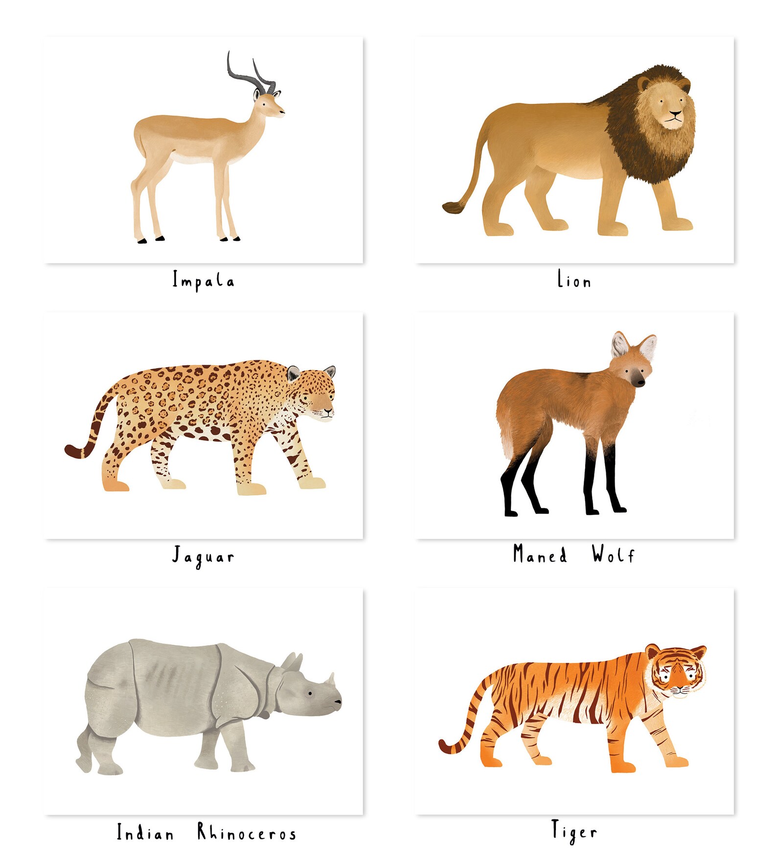 Animal Postcards - A6 Size, Illustration - Etsy