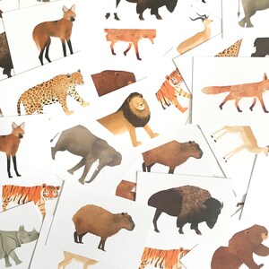 Cartão postal Jaguar - Animal da selva sul-americana - Gato grande, presente infantil, animal safari, decoração de berçário, estampa de animal de zoológico imagem 5