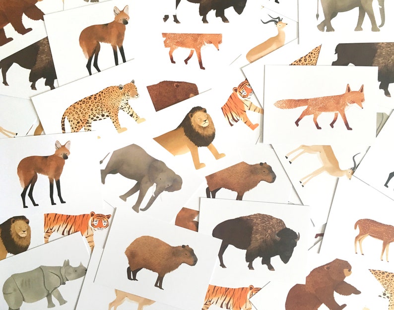 Cartão postal Jaguar - Animal da selva sul-americana - Gato grande, presente infantil, animal safari, decoração de berçário, estampa de animal de zoológico imagem 5